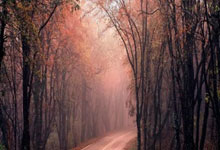 必赢：姆巴佩当选西甲1月最佳球员.