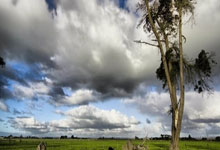 15岁道曼若代表阿森纳出战曼联，将打破足总杯正赛最年轻纪录.