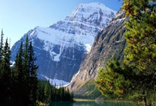 科瓦奇：说我是铁腕教练让我发笑，多特现在确实不是德甲第二豪门.