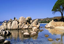 国客场1-3遭澳大利亚逆转 18强赛三连败.